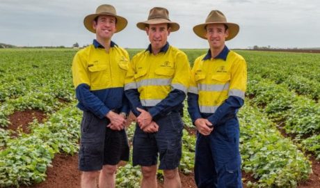 Bundaberg farmers