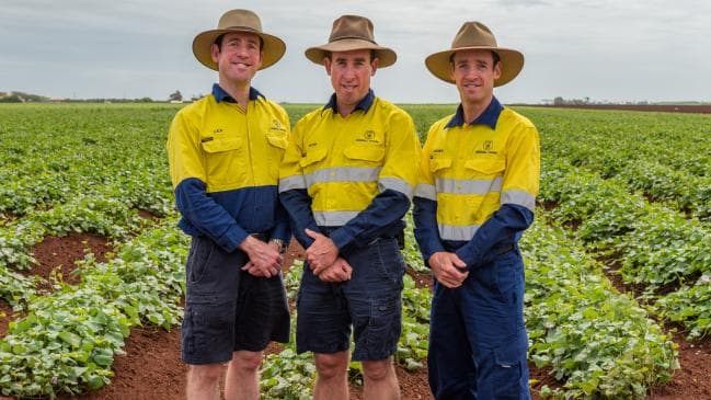 Bundaberg farmers