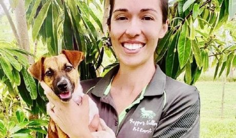 Yapper Valley Pet Resort