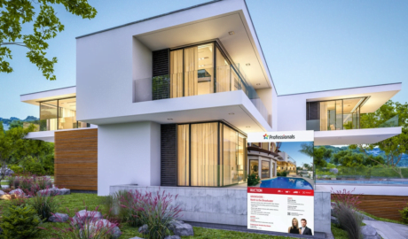 Professionals Real Estate