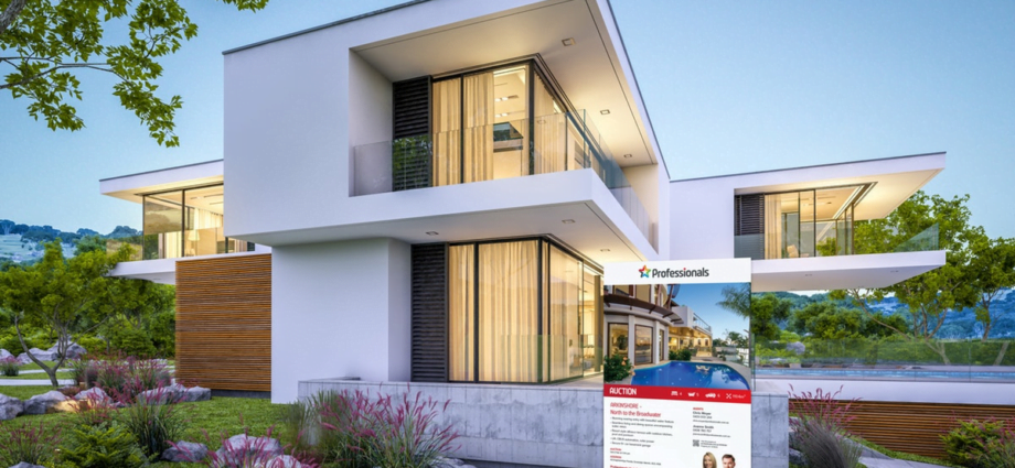 Professionals Real Estate