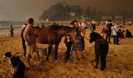 Australian bushfires