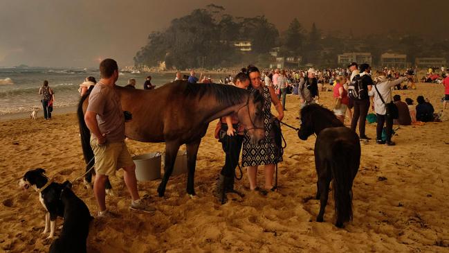 Australian bushfires