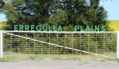 Erregulla Plains