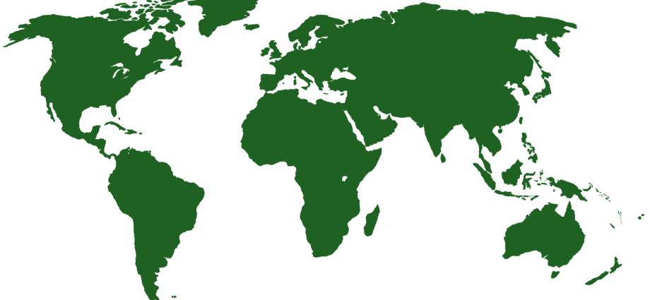 World map