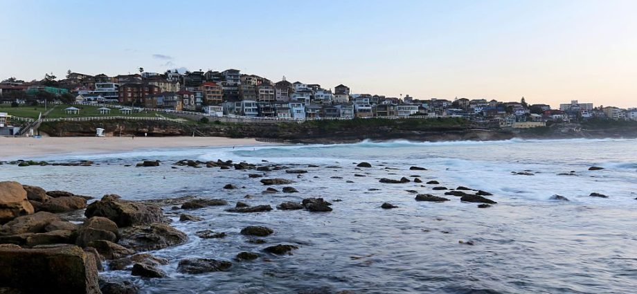 Bronte