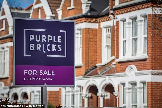 Purple Bricks