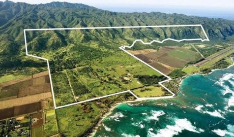 Hawaiian ranch