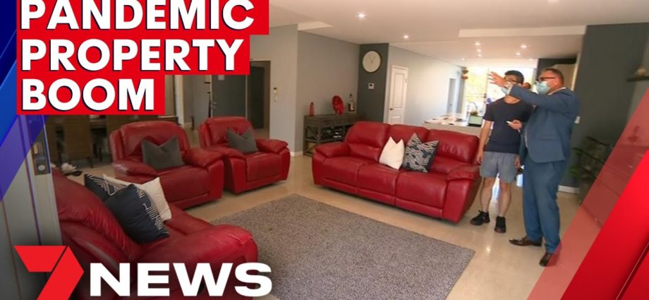 property buying frenzy
