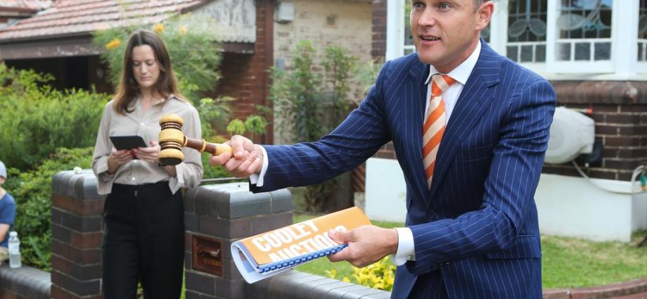 Auctioneer