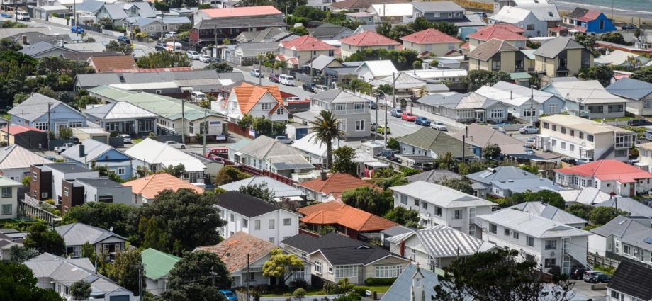 NZ property