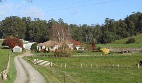 Sheffield farm