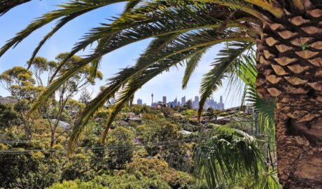 101 Hopetoun Avenue, Vaucluse, NSW 2030