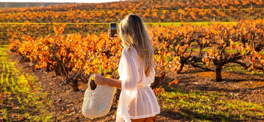 Adelaide wineries