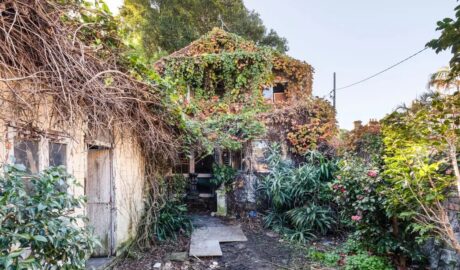Abandoned home