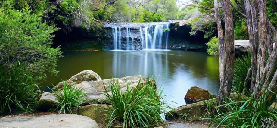 SCOUT FALLS