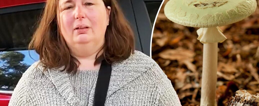 Leongatha mushroom poisoning