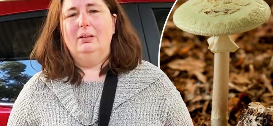 Leongatha mushroom poisoning