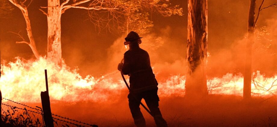 Bush Fires