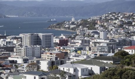 Wellington Property Market