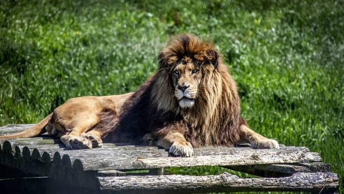 Pouakai Zoo