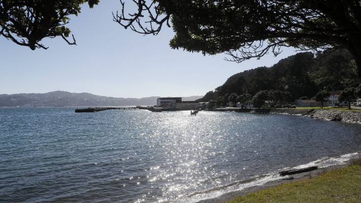 Shelly Bay