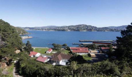 Shelly Bay