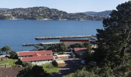 Shelly Bay