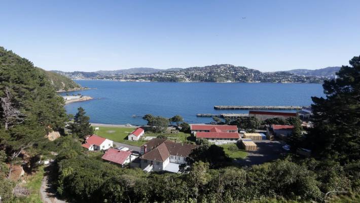 Shelly Bay