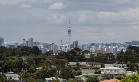 Auckland's property market