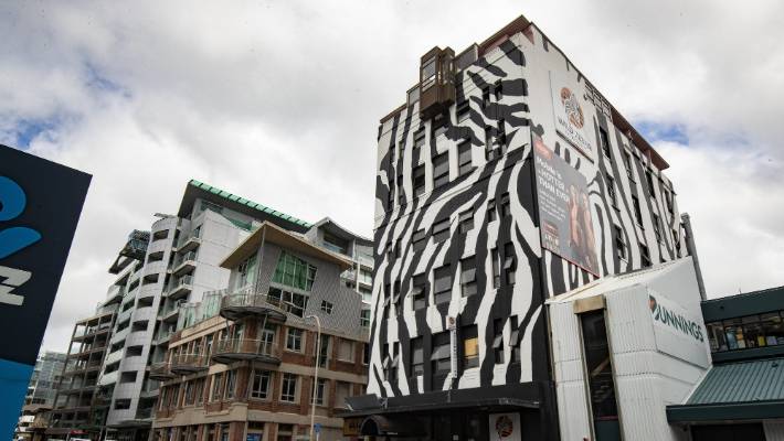 zebra building