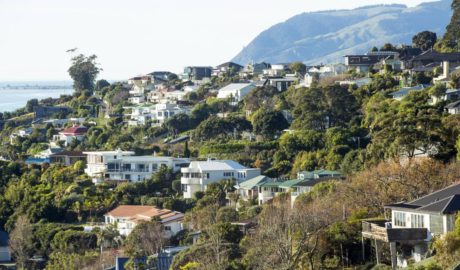 Nelson house prices