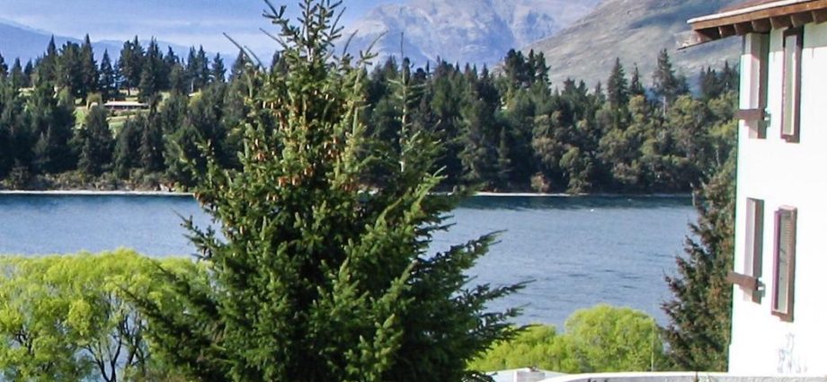 Queenstown Lakes