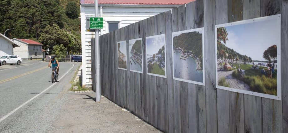 Shelly Bay