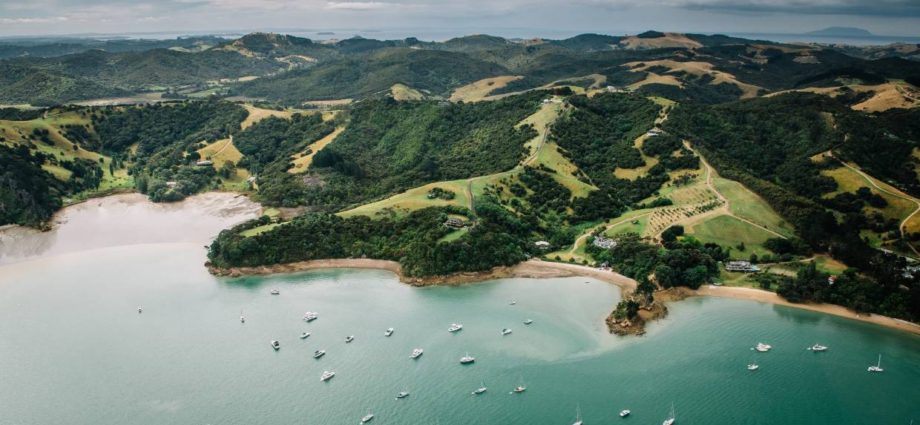 Waiheke Island