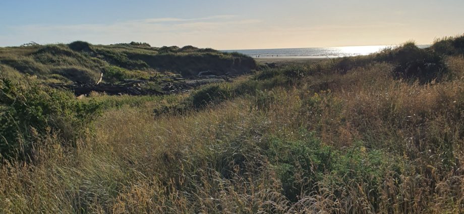 Waitarere Beach