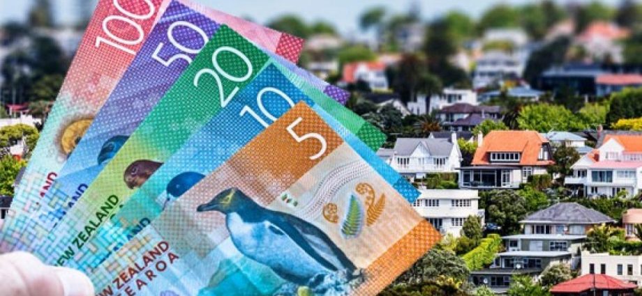 NZ Housing Crisis