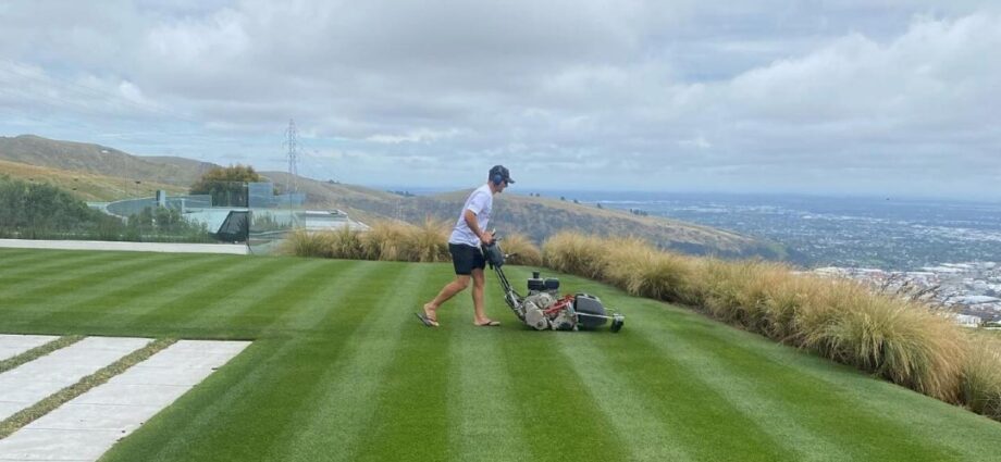 best lawn in NZ