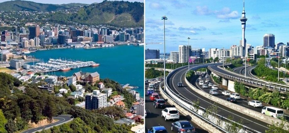 Wellington & Auckland