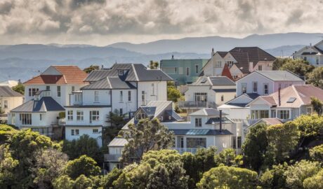 Houses in Wellington