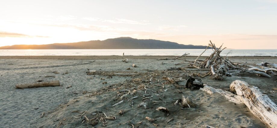 Kāpiti Coast