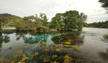 Te Waikoropupu Springs