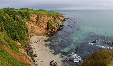 Chatham Islands