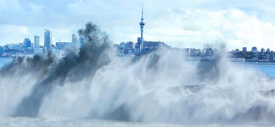 Auckland tsunami