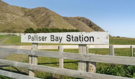 Palliser Bay Station