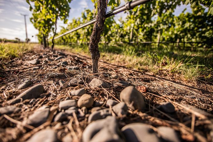 Gimblett Gravels