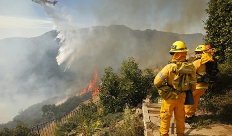 Wildfire Ravages California's Pacific Palisades