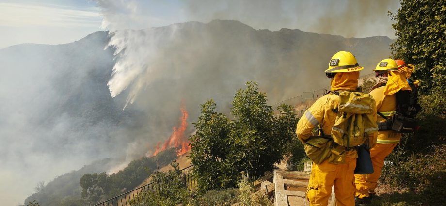 Wildfire Ravages California's Pacific Palisades