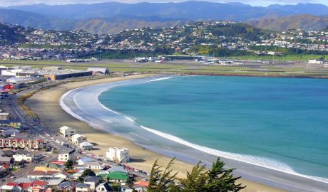 Lyall Bay