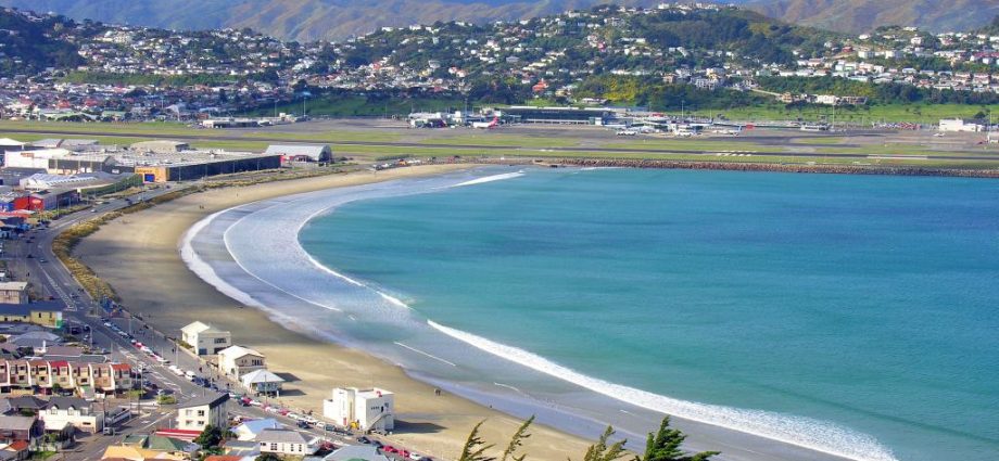 Lyall Bay